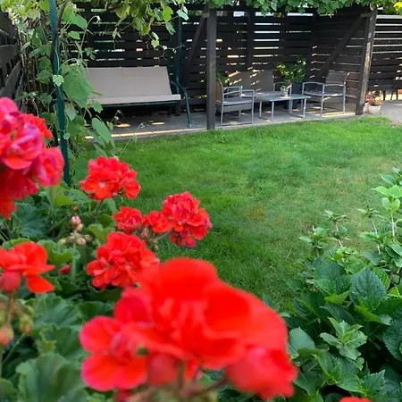 Palangos منزل للإقامة بالانغا