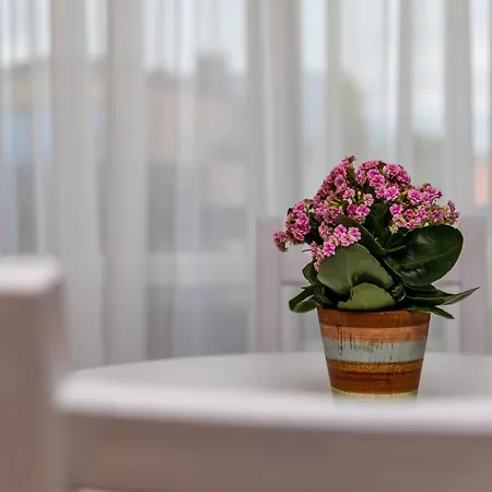 Palangos Privatunterkunft