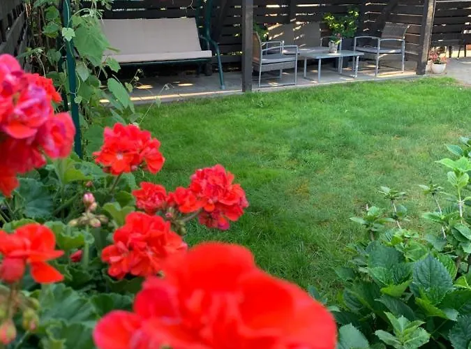 Palangos Homestay szállás Palanga