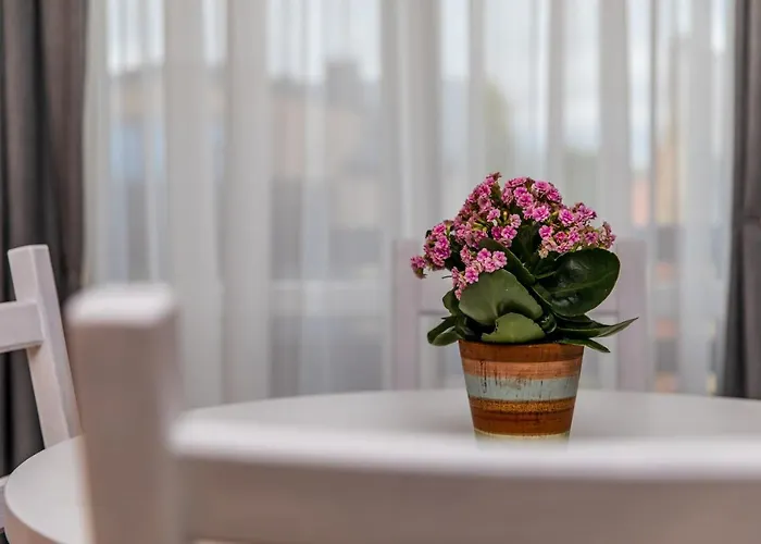 Palangos Homestay szállás